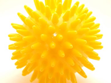 dikenler içinde sarı top