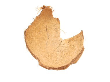 Beyaz bir Hindistan cevizi kabuk