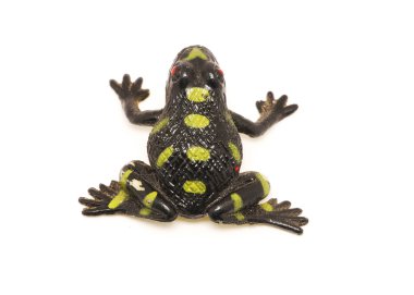 Beyaz arkaplandaki kurbağa