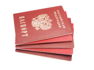 beyaz zemin üzerine Rus pasaportu
