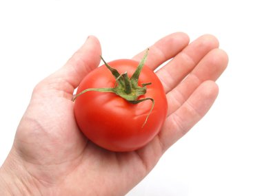 domates ve beyaz zemin üzerine el