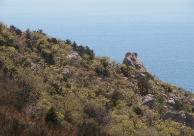 Rock, ağaçlar, deniz ve gökyüzü