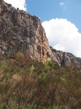 ağaç, gökyüzü ve kaya