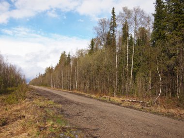 ormanda yol