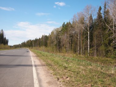 ormanda yol