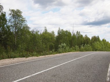 güzel yeşil orman yolu