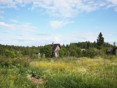 Bahar köyde eski atılan evde. Karelya, Rusya Federasyonu