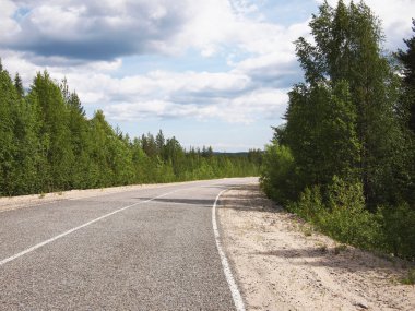 güzel yeşil orman yolu