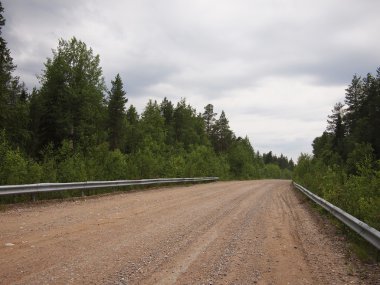 ormanda yol