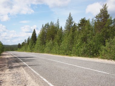 güzel yeşil orman yolu