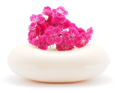 karanfil ve beyaz zemin üzerine sabun