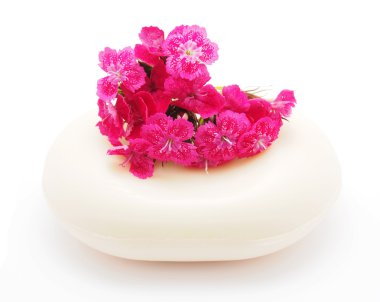 karanfil ve beyaz zemin üzerine sabun