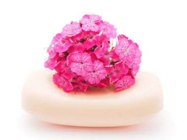 karanfil ve beyaz zemin üzerine sabun