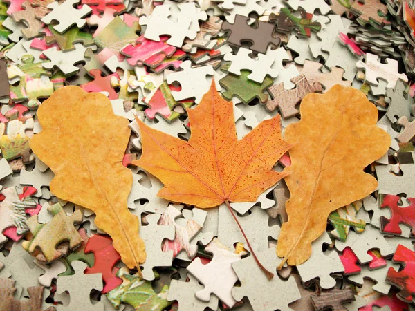 Gelbe Blätter gegen aus einem Puzzle — Stockfoto
