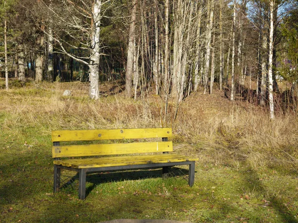 Žlutá lavička v lese — Stock fotografie