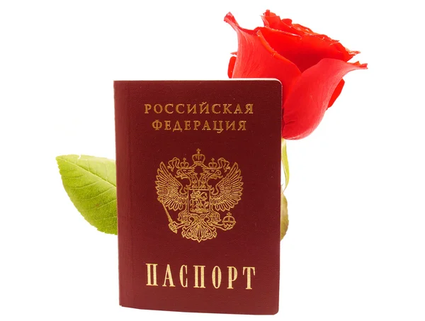 Rosa y pasaporte sobre fondo blanco —  Fotos de Stock