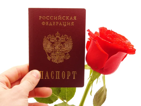 Rose and passport on white background — Stock Photo, Image