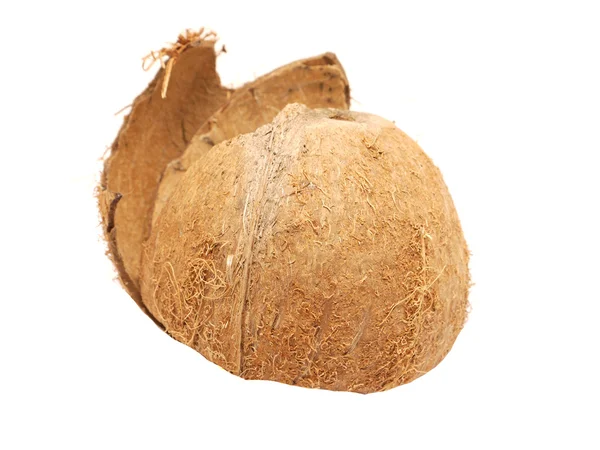 Uma concha de coco em branco — Fotografia de Stock