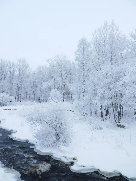 Vinterlandskap — Stockfoto