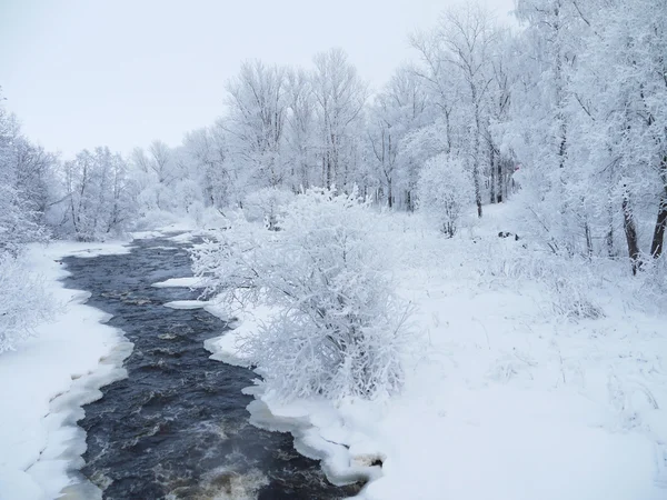 Vinterlandskap — Stockfoto