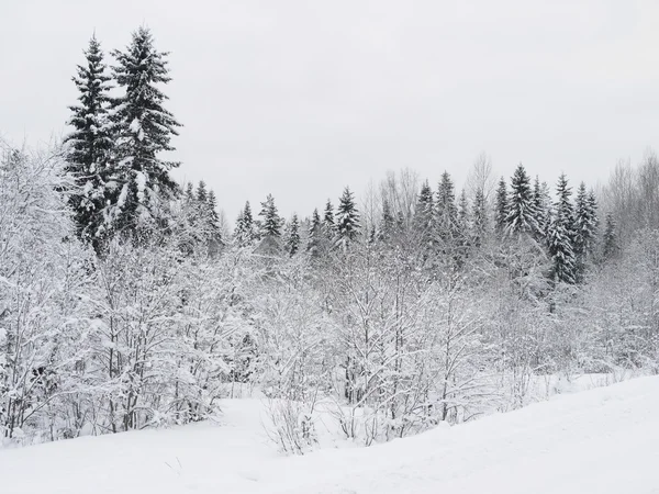 Winterlandschap — Stockfoto