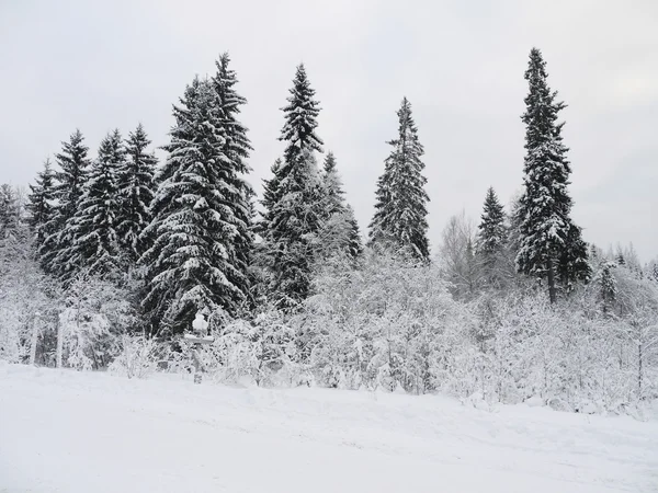 Winter landscape — Stock Photo, Image