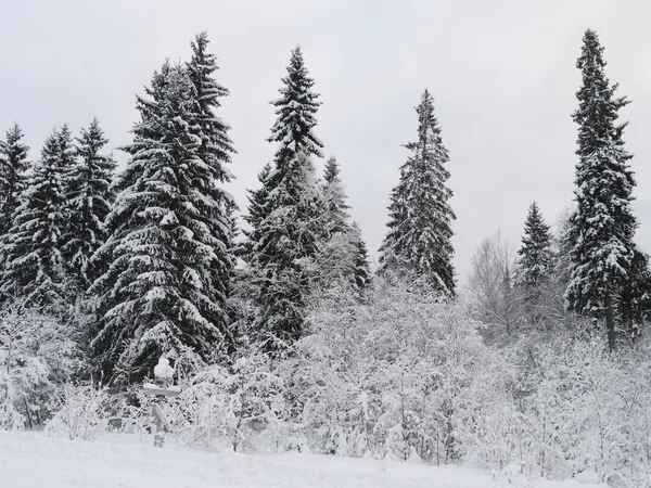 Paisaje invierno — Foto de Stock