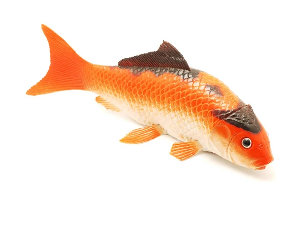 Figura de pez sobre fondo blanco — Foto de Stock
