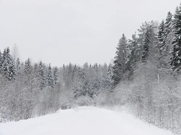 Winter landscape — Stock Photo, Image