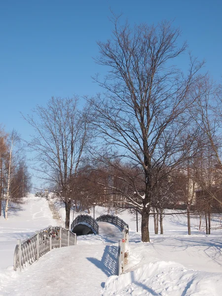 Мост в парке — стоковое фото