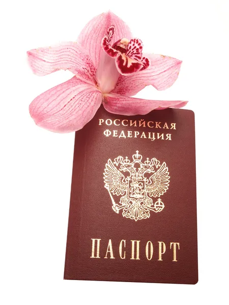 Orchid and a passport — Stock Photo, Image