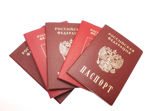 O passaporte russo em um fundo branco — Fotografia de Stock