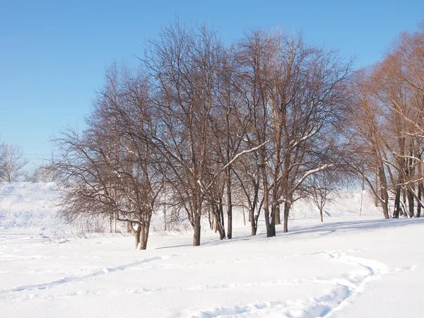 Paesaggio invernale — Foto Stock