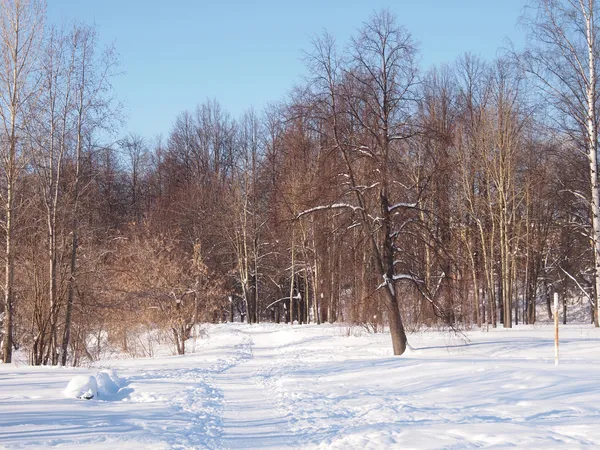 Paisaje invierno —  Fotos de Stock