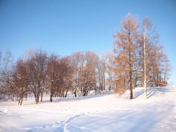 Paesaggio invernale — Foto Stock