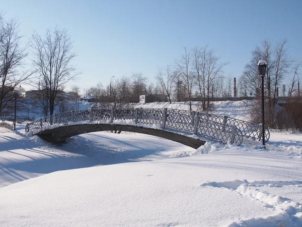 Il ponte nel parco — Foto Stock