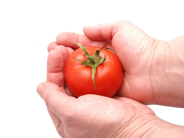 Tomato and hand on white background — Stock Photo, Image