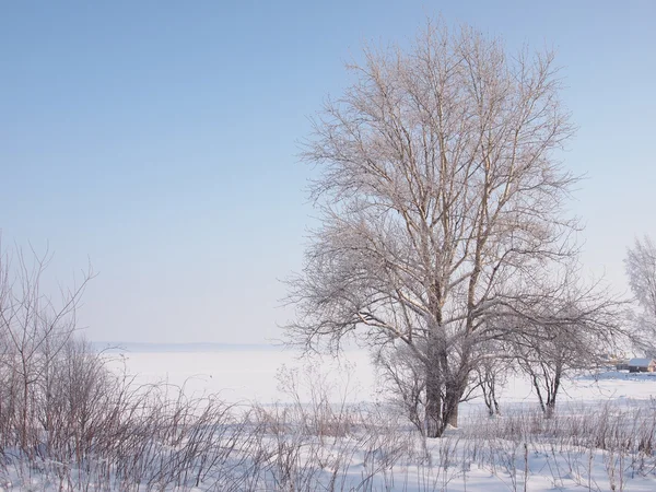 Paisaje invierno — Foto de Stock