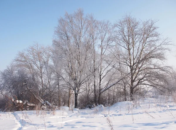 Winter landscape — Stock Photo, Image