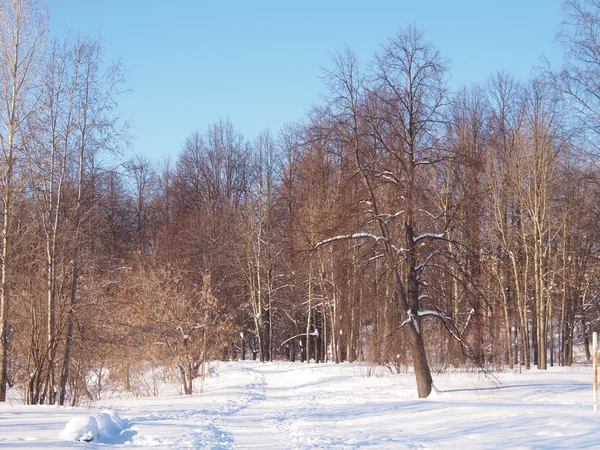 Paisaje invierno —  Fotos de Stock