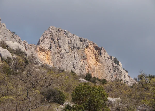 Rock, ağaçlar ve gökyüzü — Stok fotoğraf