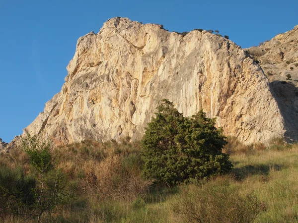 Pohon, langit dan batu — Stok Foto