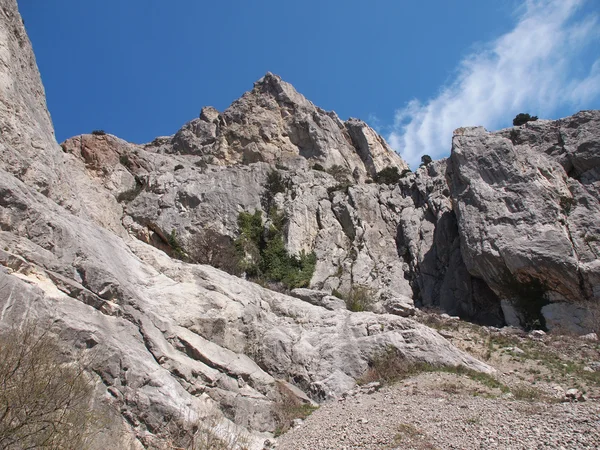 Arbres, ciel et rochers — Photo