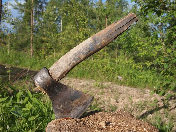 Zdjęcie z siekierą w pniu — Zdjęcie stockowe