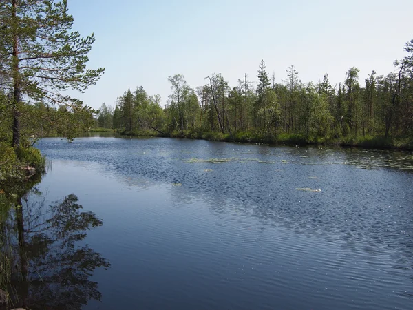 Kust van de rivier in het voorjaar. Karelië, Rusland — Stockfoto