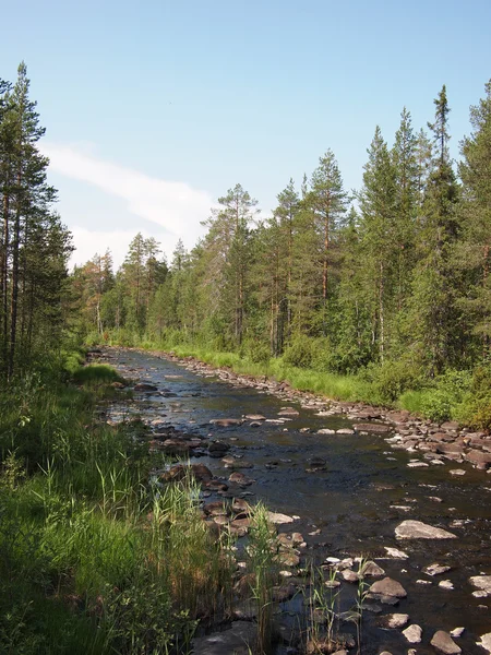 Costa del fiume in primavera. Carelia, Russia — Foto Stock