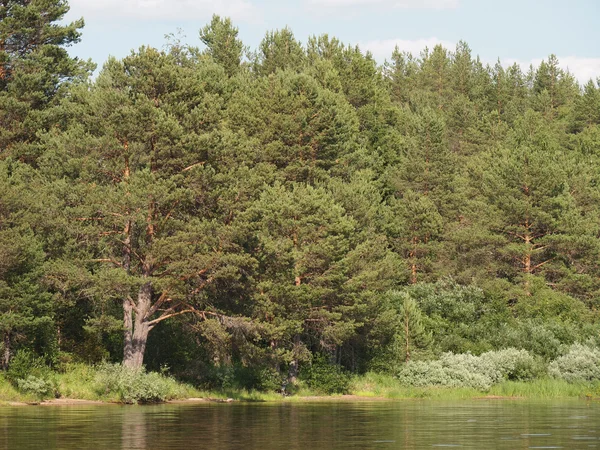 Plaja lac — Fotografie, imagine de stoc