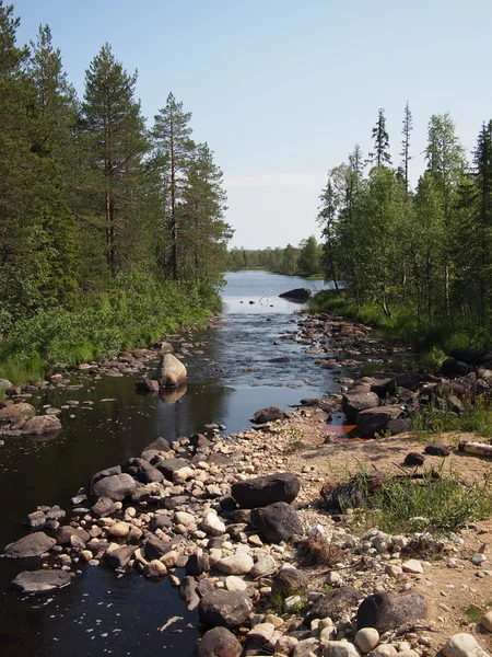 Costa del fiume in primavera — Foto Stock