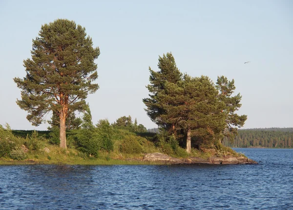 Wunderschöner See im Norden von Karelien, Russland — Stockfoto