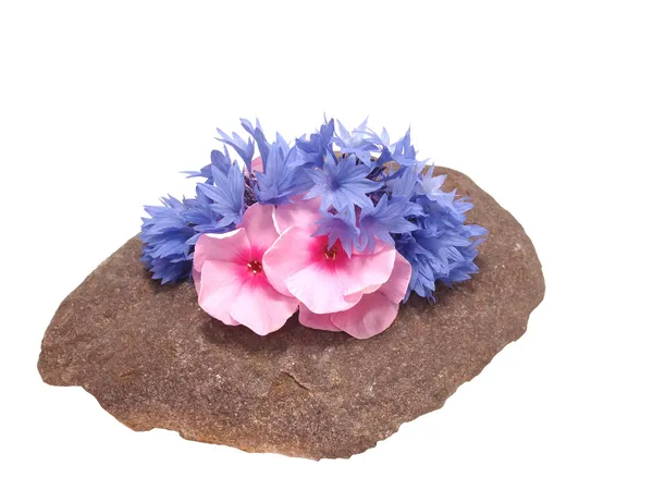 Flowers on the stone — Stock Photo, Image